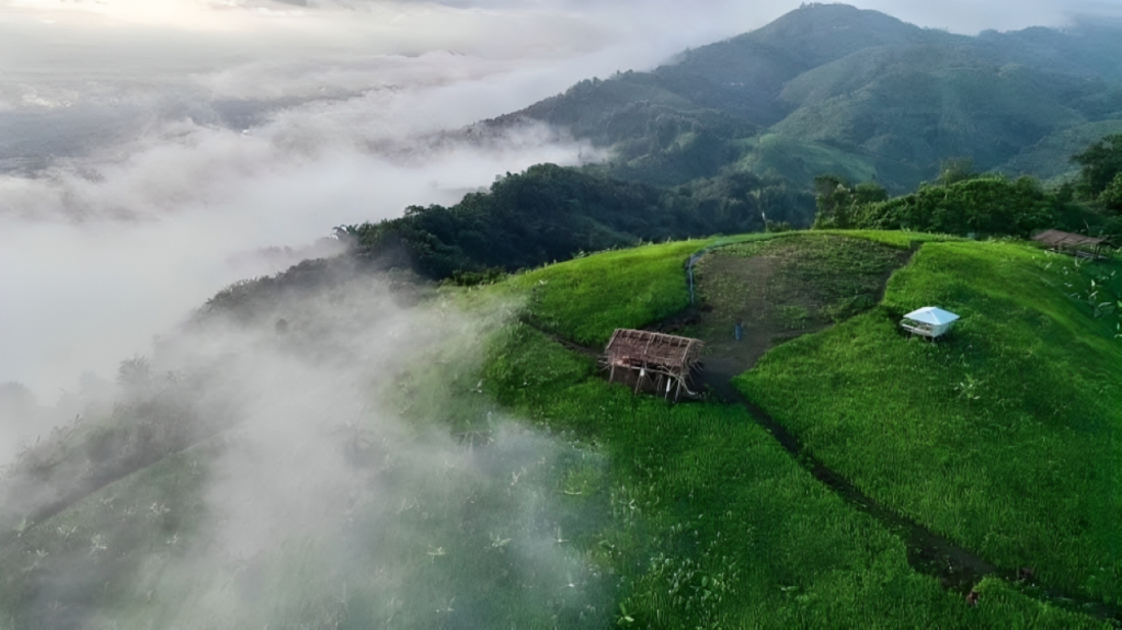 মাইতা তৈম ২ - আলিকদম উপজেলা