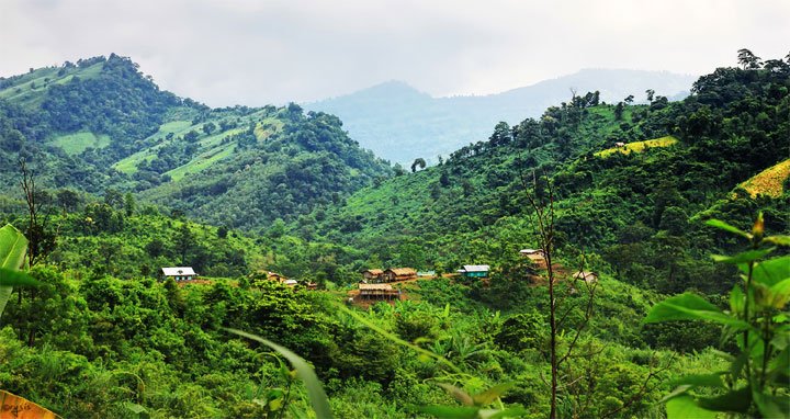 রোয়াংছড়ি উপজেলা