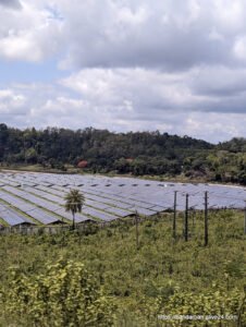বান্দরবান জেলার প্রাকৃতিক সৌন্দর্য [ Natural Beauty of Bandarban District ]