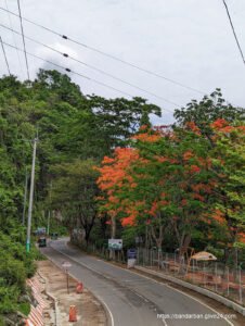 বান্দরবান জেলার প্রাকৃতিক সৌন্দর্য [ Natural Beauty of Bandarban District ]