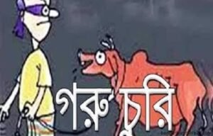 গরুচোর চক্রের ৫ সদস্যকে পুলিশে দিলেন চেয়ারম্যান