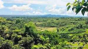 ১ নং নাইক্ষ্যংছড়ি সদর ইউনিয়ন