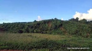 ১ নং নাইক্ষ্যংছড়ি সদর ইউনিয়ন