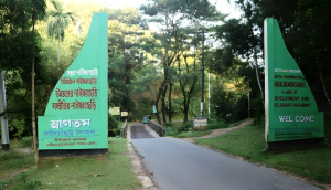 নাইক্ষ্যংছড়ি উপজেলা